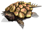 черепаха.png